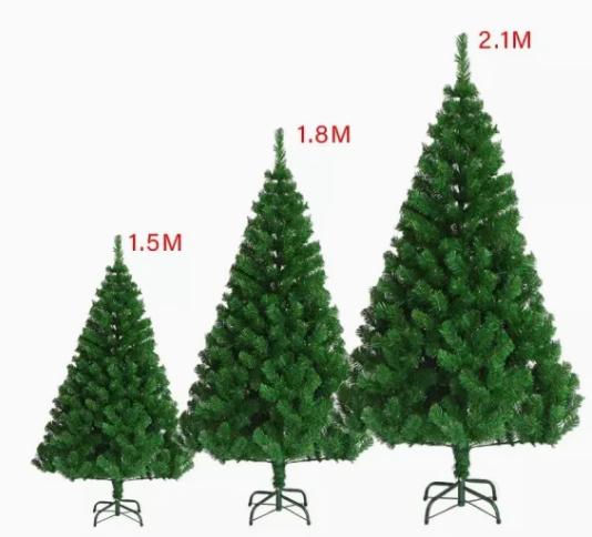 Christmas Trees