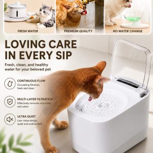 Pet Water Bowl