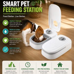 Pet Smart Feeding Station