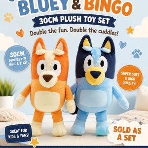 30cm Bingo and Bluey Plush Toy