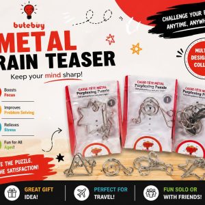 Metal Brain Teaser For 3