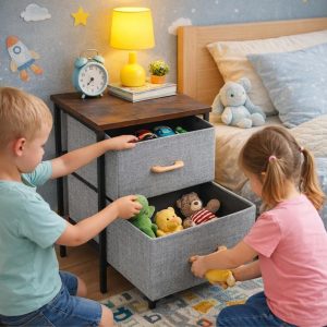 Theona 2 Drawer Bedside Table/Storage Organizer