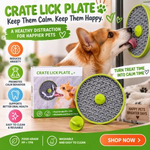 Pet Lick Plate