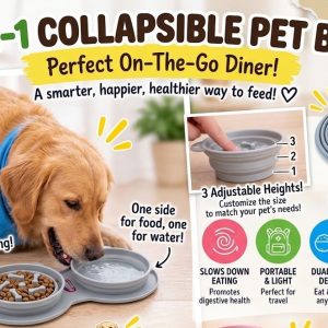 2 in 1 Collapsible Pet Bowl