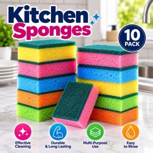 10pc Kitchen Sponge